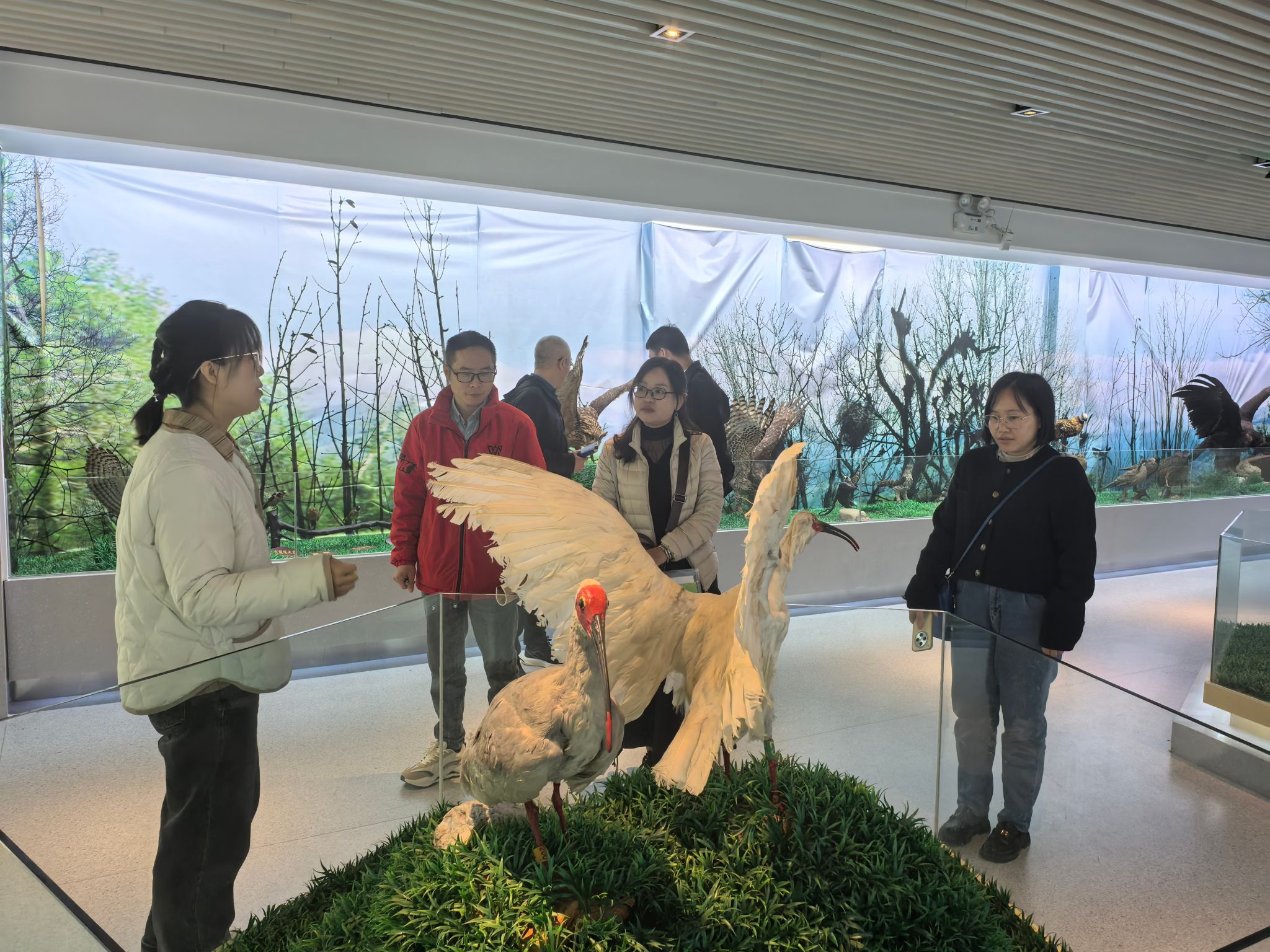 810BA